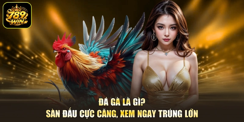 Đá Gà Là Gì? - Sàn Đấu Cực Căng, Xem Ngay Trúng Lớn