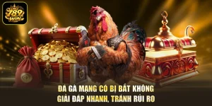 Đá Gà Mạng Có Bị Bắt Không - Giải Đáp Nhanh, Tránh Rủi Ro