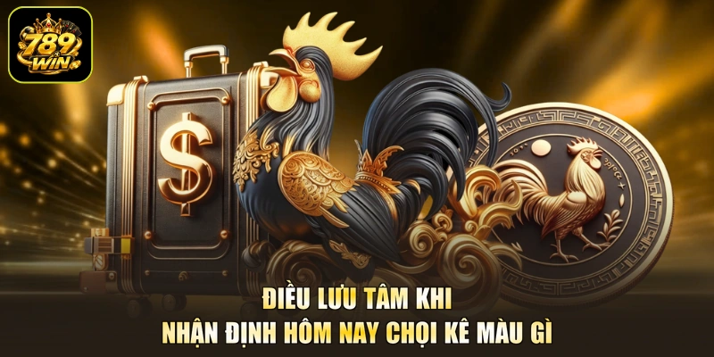Điều lưu tâm khi nhận định hôm nay chọi kê màu gì