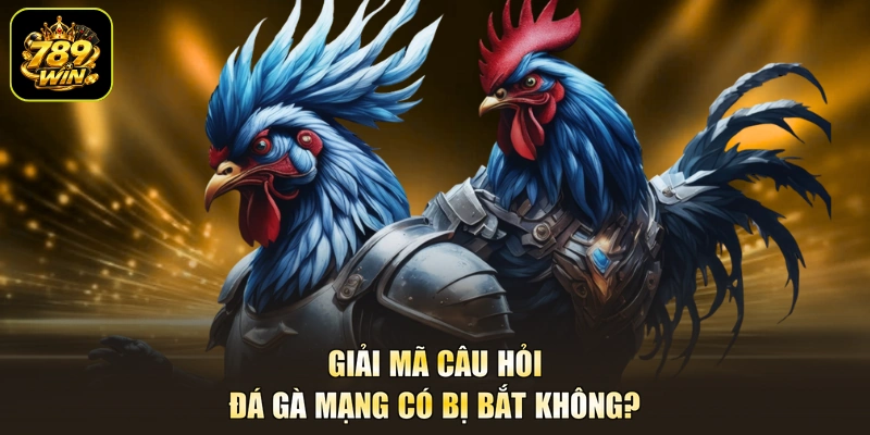 Giải mã câu hỏi đá gà mạng có bị bắt không?