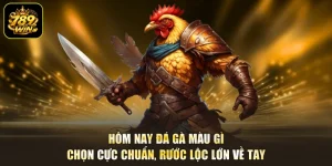 Hôm Nay Đá Gà Màu Gì - Chọn Cực Chuẩn, Rước Lộc Lớn Về Tay