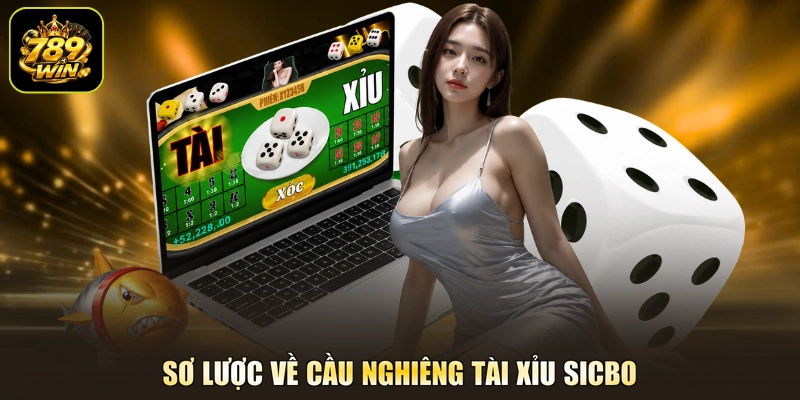 Sơ lược về cầu nghiêng tài xỉu Sicbo