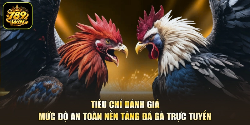 Tiêu chí đánh giá mức độ an toàn nền tảng đá gà trực tuyến