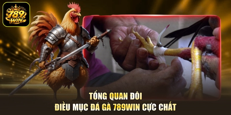 Tổng quan đôi điều mục đá gà 789WIN cực chất